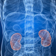 Illustration for article titled Teen Sells His Kidney for an iPad 2. Teen Now Regrets It